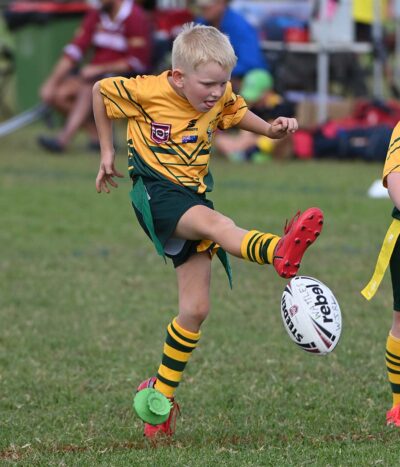 Wattles v MIT & Highfields