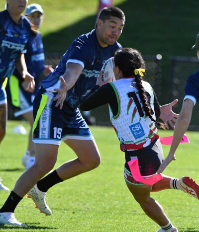 Senior Springfield v Labrador