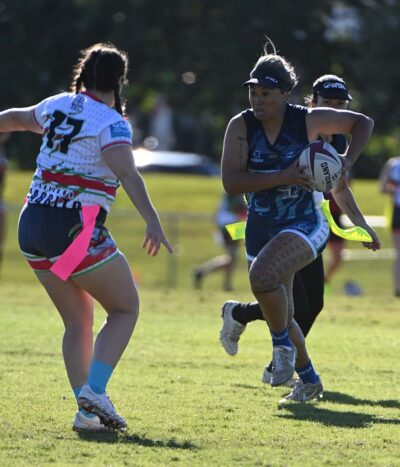 37 Springfield v Labradour