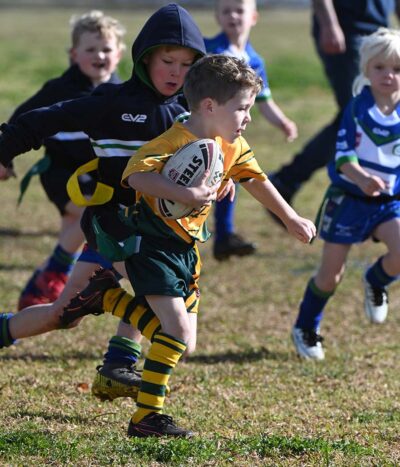 Wattles v Stanthorpe