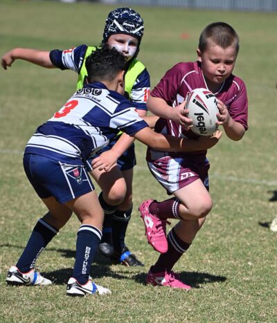 Brothers v Fassifern