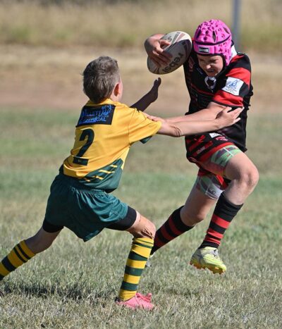 12 Wattles v Stanley River