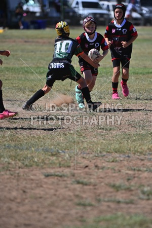 LCL_3244.jpg