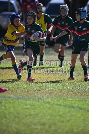 LDP_0497.jpg