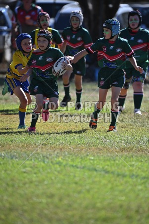LDP_0498.jpg