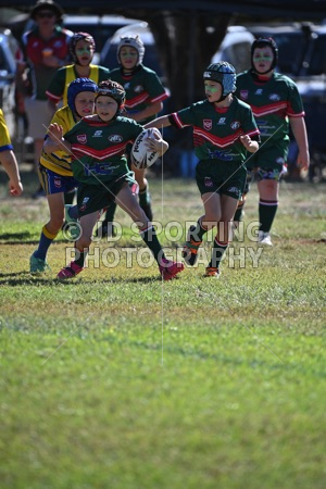 LDP_0499.jpg