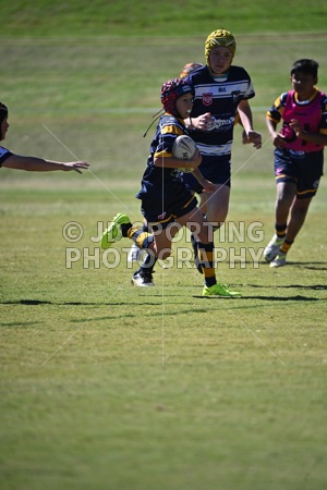 HGH_3204.jpg