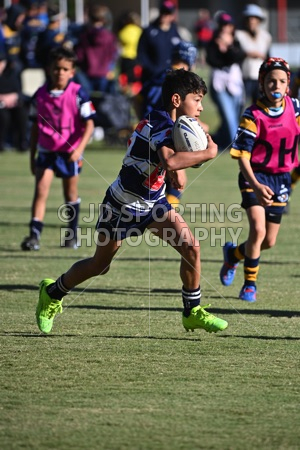 HGH_1078.jpg