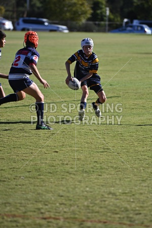 HGH_1107.jpg