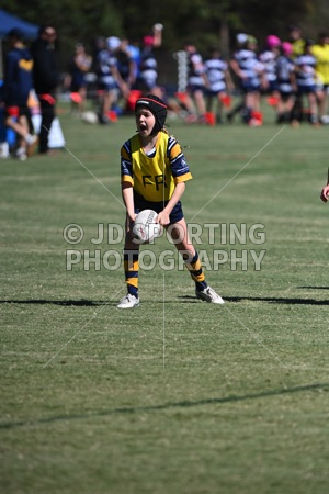 HGH_3682.jpg
