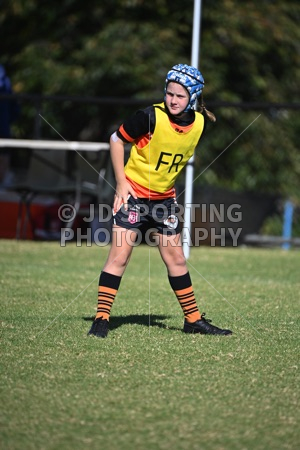ACU_0052.jpg