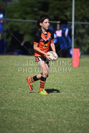 ACU_0059.jpg