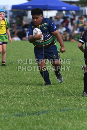 DAR_5178.jpg
