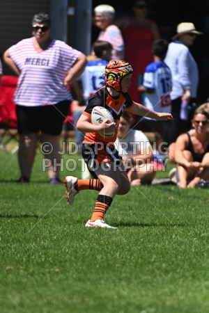 TRI_2829.jpg